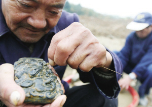 南京定山寺发现神秘地宫已被盗一空(组图)