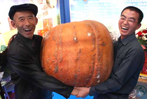 2011年陕西杨凌农高会---第18届中国杨凌农业高新科技成果博览会