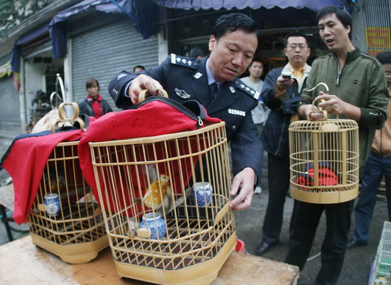 组图:福州全市围剿捕鸟网