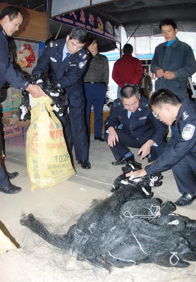组图:福州全市围剿捕鸟网