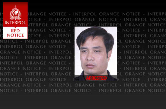 国际刑警组织对孟某发布红色通缉令。(图片来源:国际刑警组织网站)