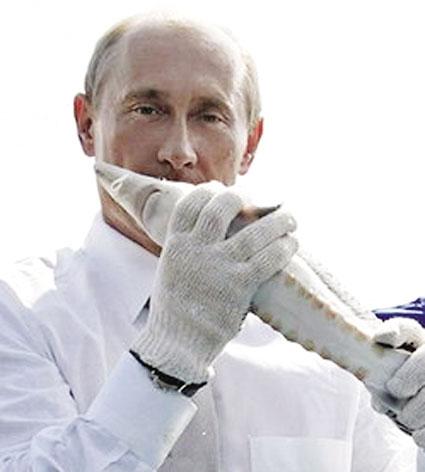 普京又有奇举亲吻一条鲟鱼