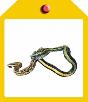 《西溪湿地两栖类、爬行类动物图谱》