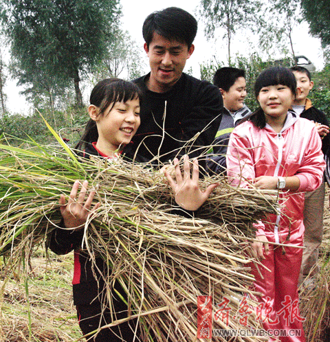 小学生农田收稻体验收获苦与乐