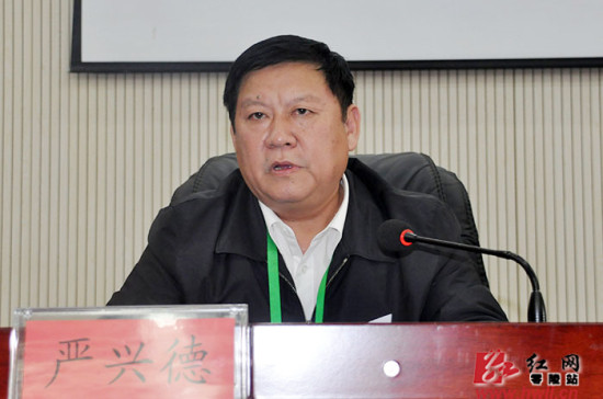 永州市零陵区委书记严兴德作总结报告