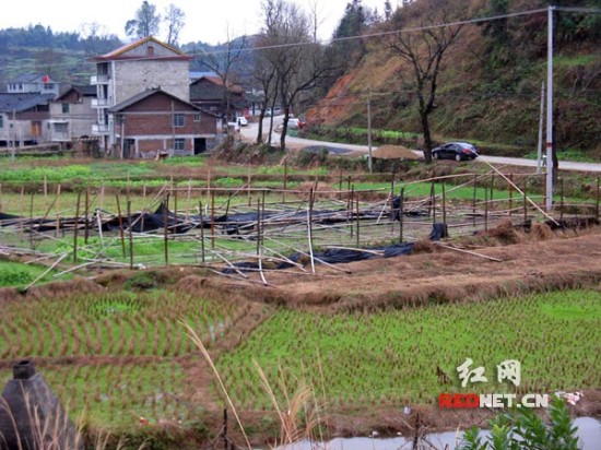 一场强风伴随着暴雨突袭湖南省通道侗族自治县牙屯堡镇甲田村及附近