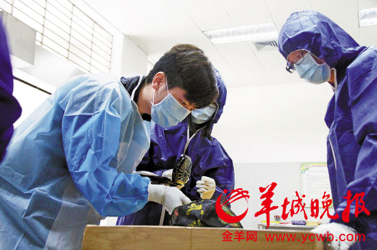 东莞殡仪馆开放日 90后大学生体验遗体化妆师