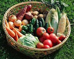 专家称番茄可消灭氧自由基延缓衰老(图)