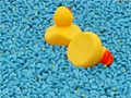 Ƶ20.5ֻƤѼƯ̩ʿӴ¼