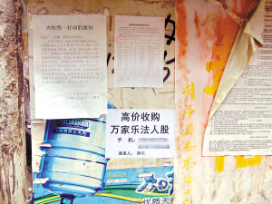 街头收购万家乐股票千万元?_新闻中心_新浪网