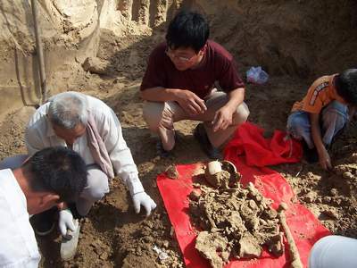 张之洞遗骨失踪41年后重现南皮(图)