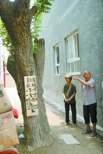 300年古槐遭虫咬老鸦陈村民急寻医