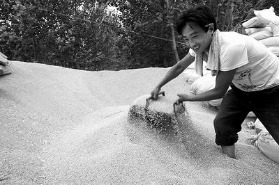 人心齐仓廪实--解读河南小麦之于中国粮仓