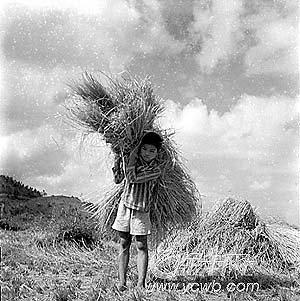 ͼ�ģ�������60�������½�ũ������