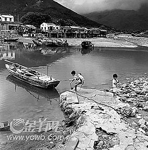 图文:20世纪70年代末香港晒虾酱的作坊