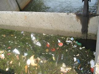 记者穿越邯郸市区把脉滏阳河(图)