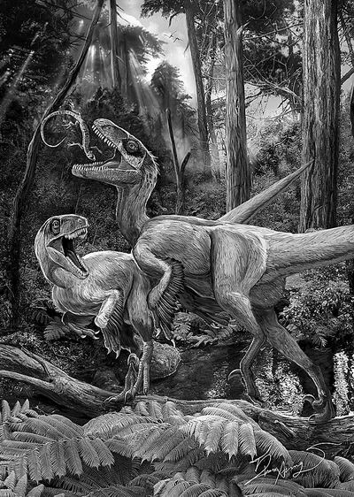 栾川发现恐龙聚居地