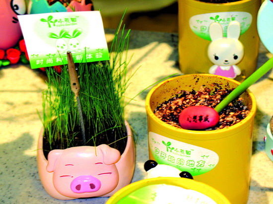 小豆子有趣,长出字逗你玩