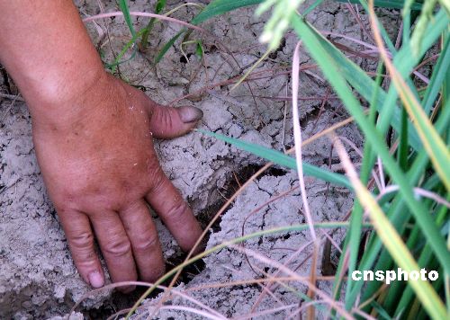 ���Ϻ���������������60�����˳�����ˮ����