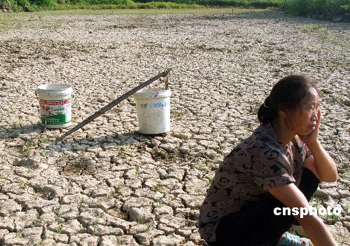 ���Ϻ���������������60�����˳�����ˮ����