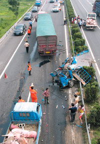 运煤车逆行惹祸 20头猪丧命