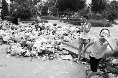 七成业主拒交物业费 嵩岳小区垃圾堆成山