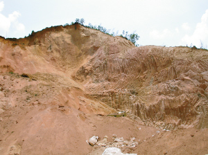 偷采瓷土塌方3人被埋