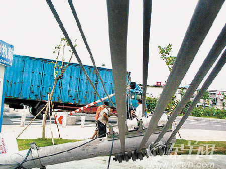 电线杆一头栽倒没人修_新闻中心_新浪网