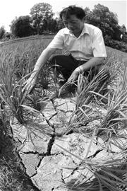 ͼ�ģ���ɳ�����ش�ɺ�