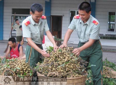 北海边防检查站营区瓜果飘香 喜迎丰收季节(图