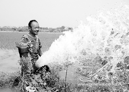 ����ӭ������ʱ�ꡱ