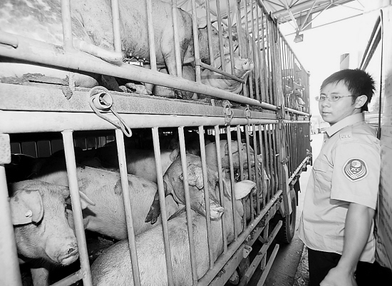 ������ȫʡ���ͨ��