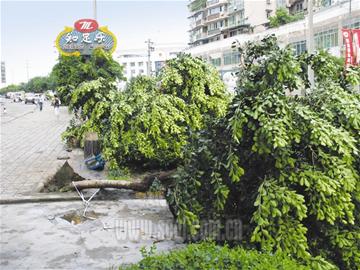 9�����Ϯ�Թ�������������