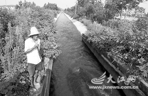 �ӵؿ�����