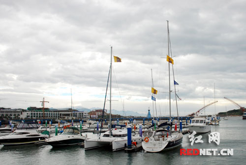 ����ý���ൺ�У������˶�������ʾ���˸�����