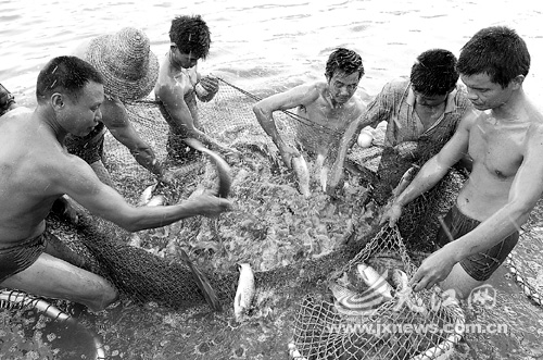 �ӵؿ�����