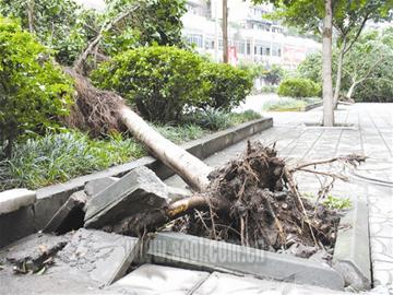 9�����Ϯ�Թ�������������