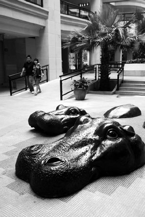 Զ�������ܡ������ǡ�������