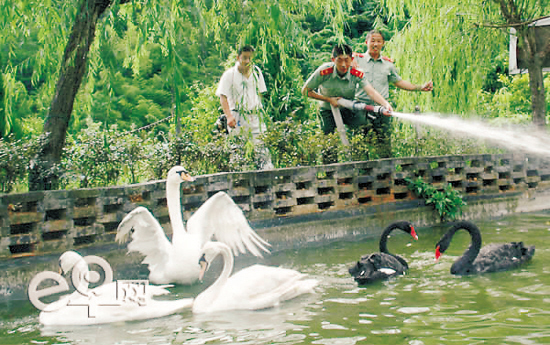 �������