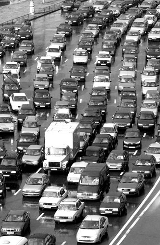 ����˹�˿���������