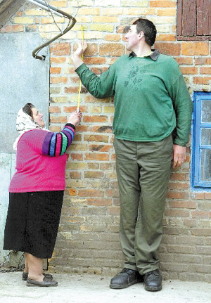 �����һ����������ͼ��