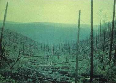 ��3�֡�ͨ��˹��ʯ������