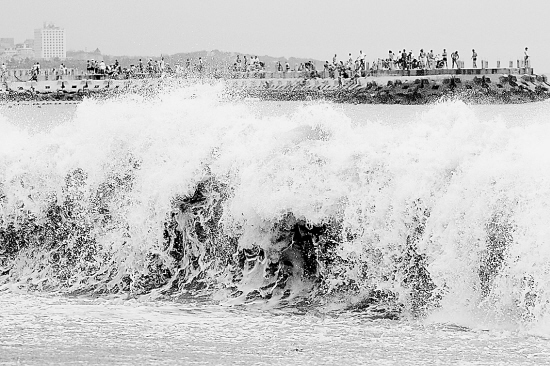 �����İ�