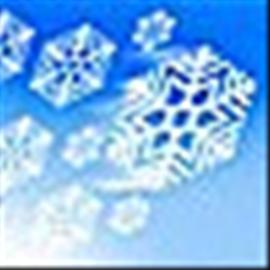 ����Ԥ��