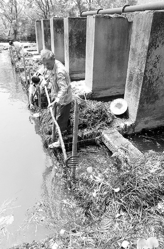 ����ӭ������ʱ�ꡱ