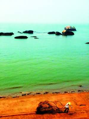 ���š�����