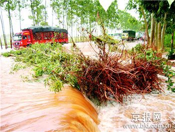 ̨����������200��һ������