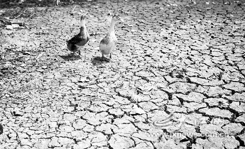 �ӵؿ�����