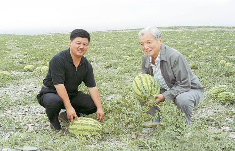 瓜之骄子孙小武