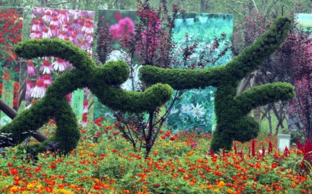 �˶���Ļ����������౱��